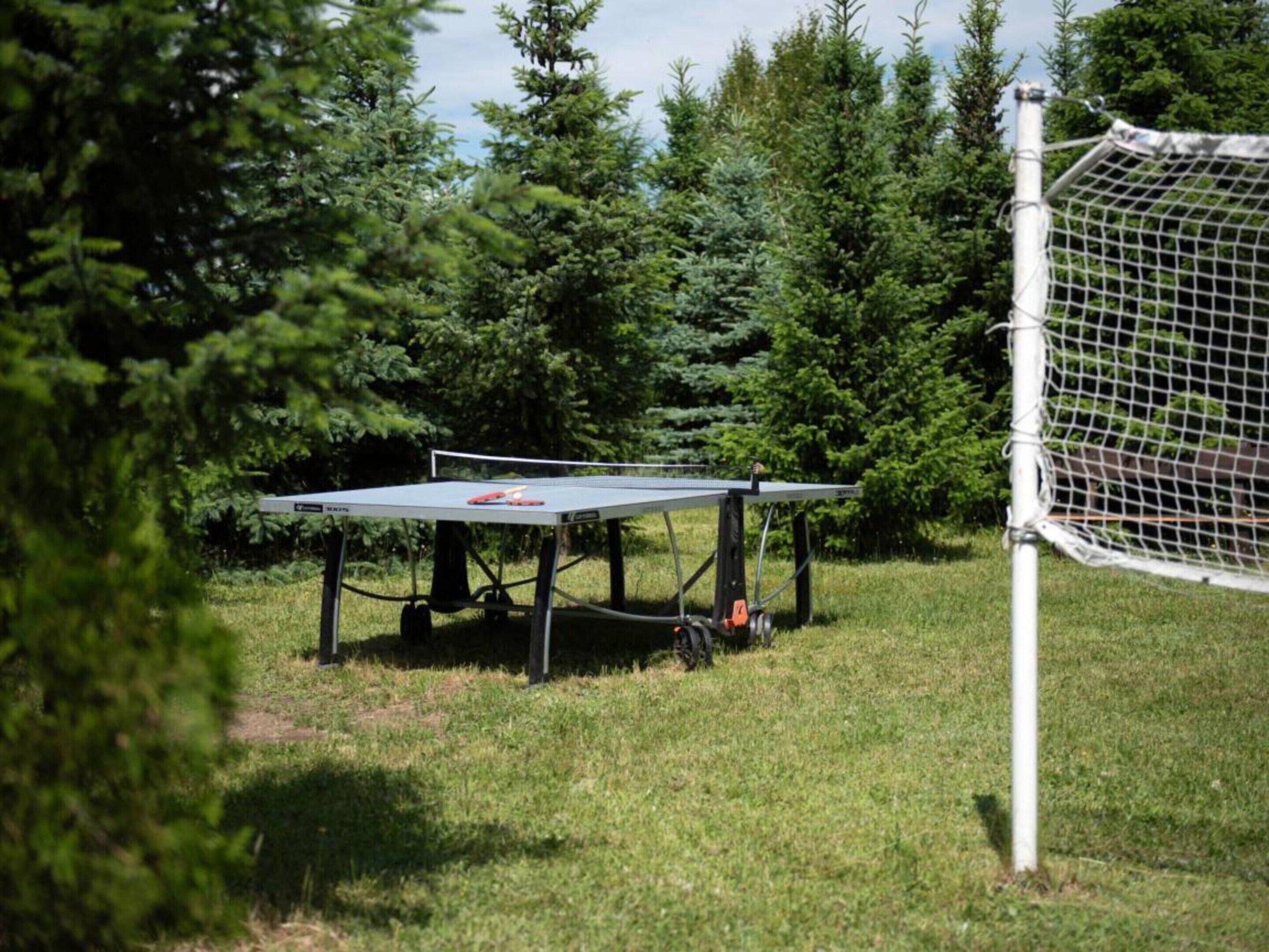 A ping pong table set up outdoors with a netted enclosure.