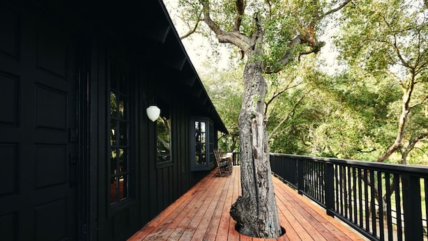 Une terrasse en bois avec une rambarde noire, un arbre au centre et un bâtiment avec de grandes fenêtres sur la gauche.