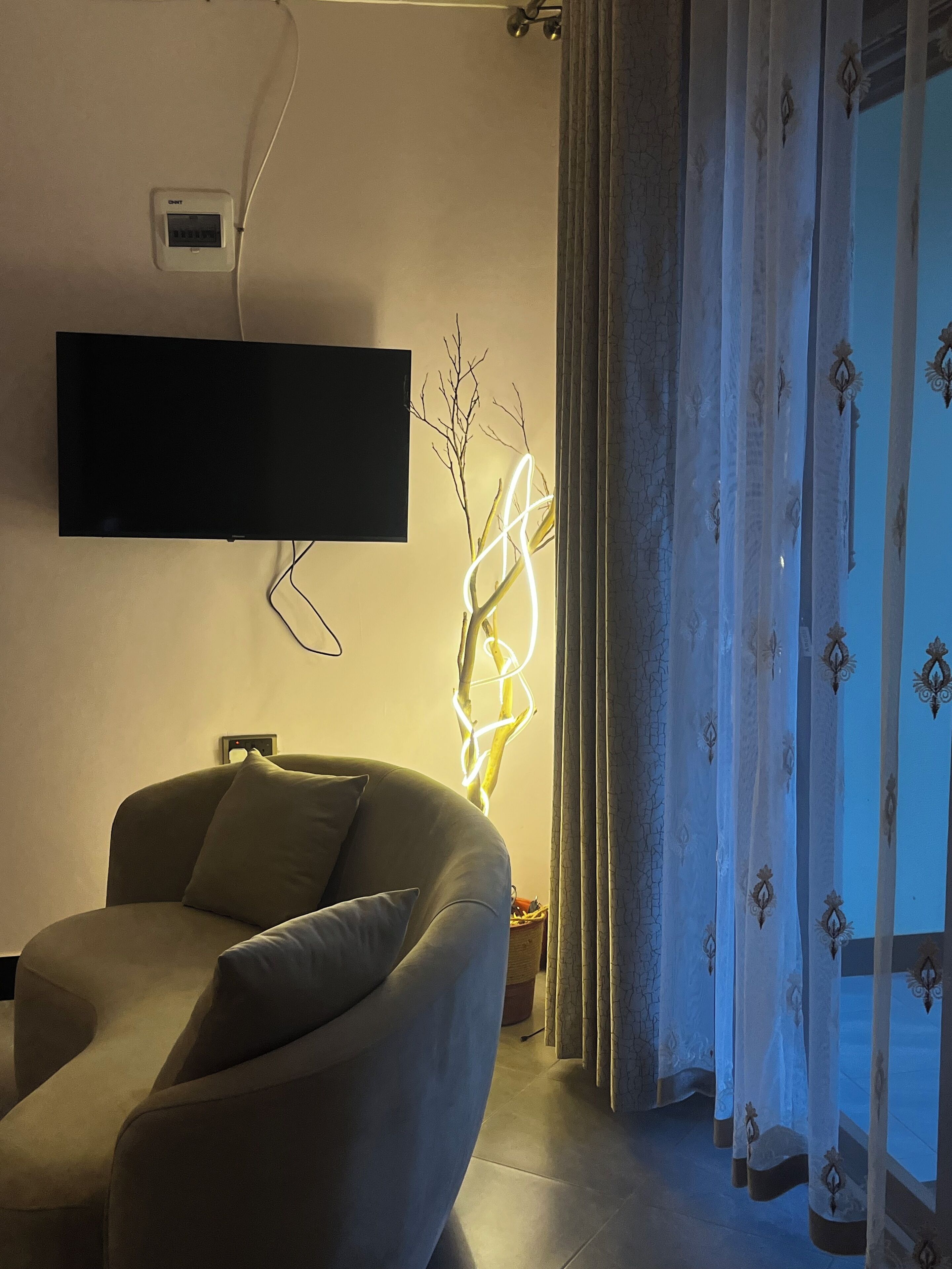 Smart TV, fireplace, video games, books