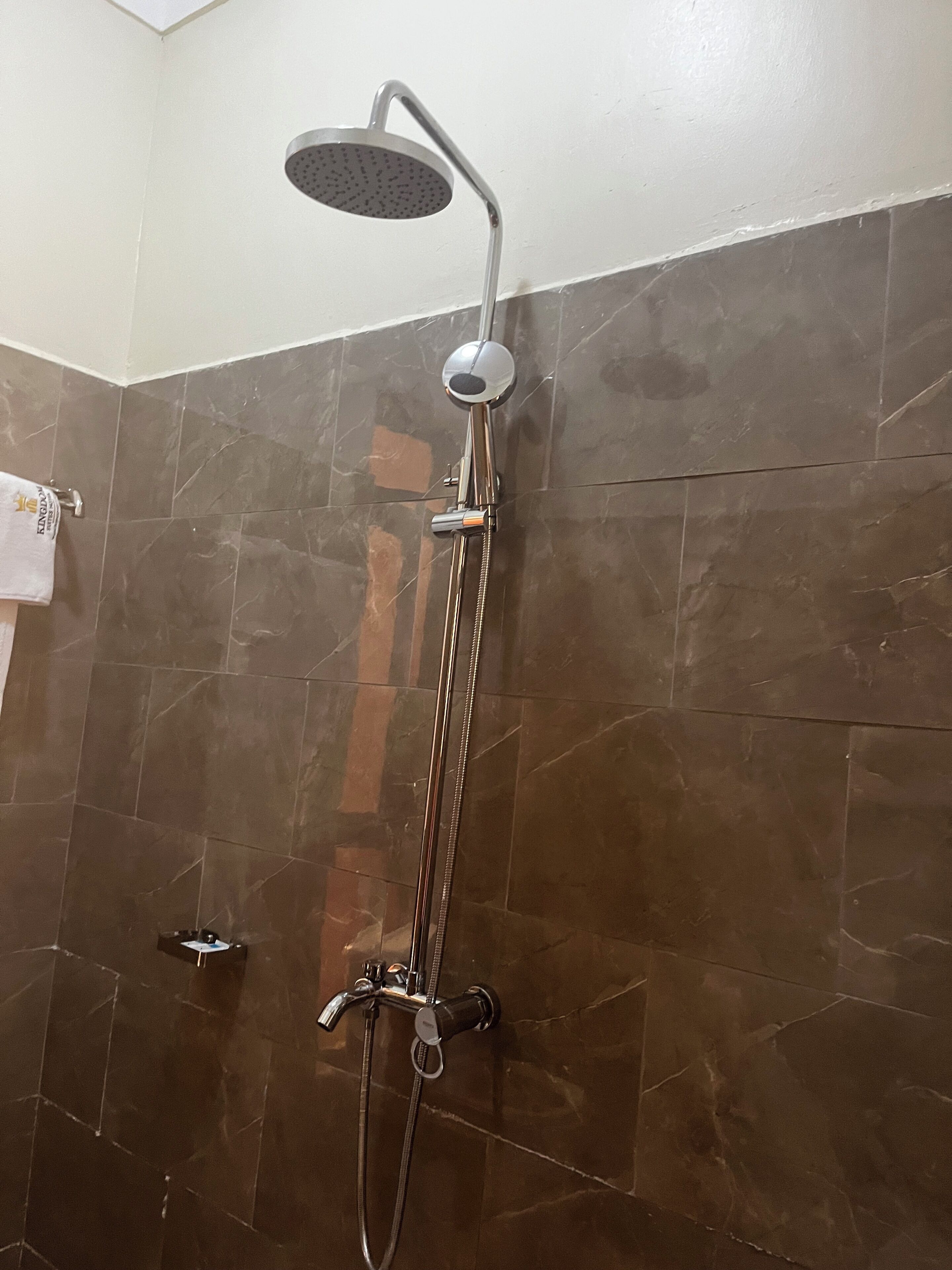 Ducha con cabezal de mano, regadera de mano e grifo empotrado.