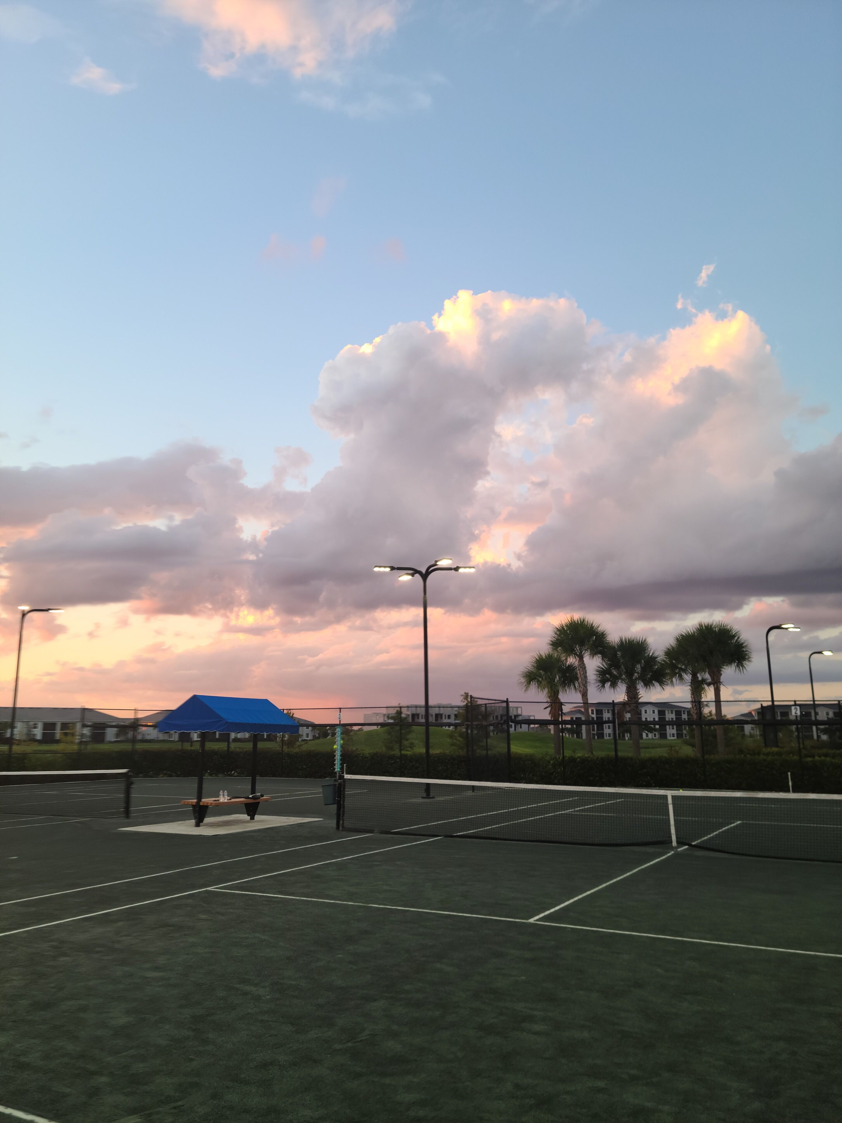 A tennis court with a blue canopy, palm trees, and street lamps.