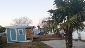 A small, single-story house with a door and a window, surrounded by a grassy yard and a palm tree.