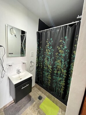 Habitación con 2 camas individuales, vista a la ciudad | Baño | Regadera, secadora de cabello, toallas, jabón 