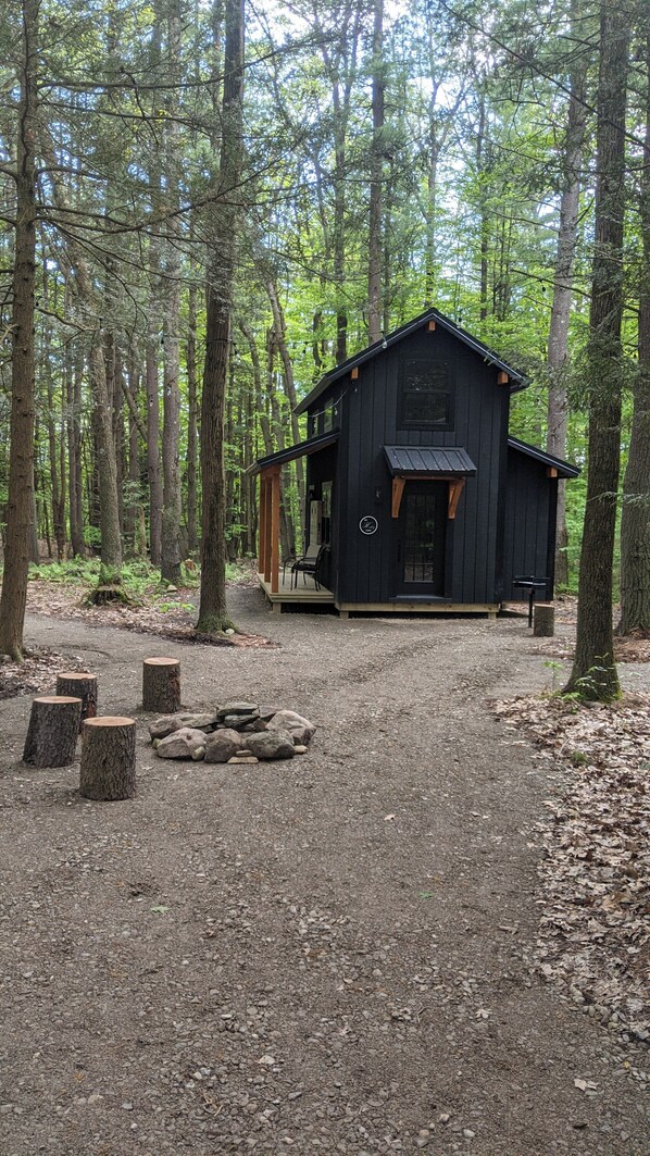 A cabin in a forest with a gravel path leading to it, surrounded by trees.