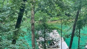 A treehouse with a slide, surrounded by dense foliage. - Scenic 4‑BR sleeps 14 with Lake View, Decks, Private Dock, Kayaks, Canoe (LaFollette)