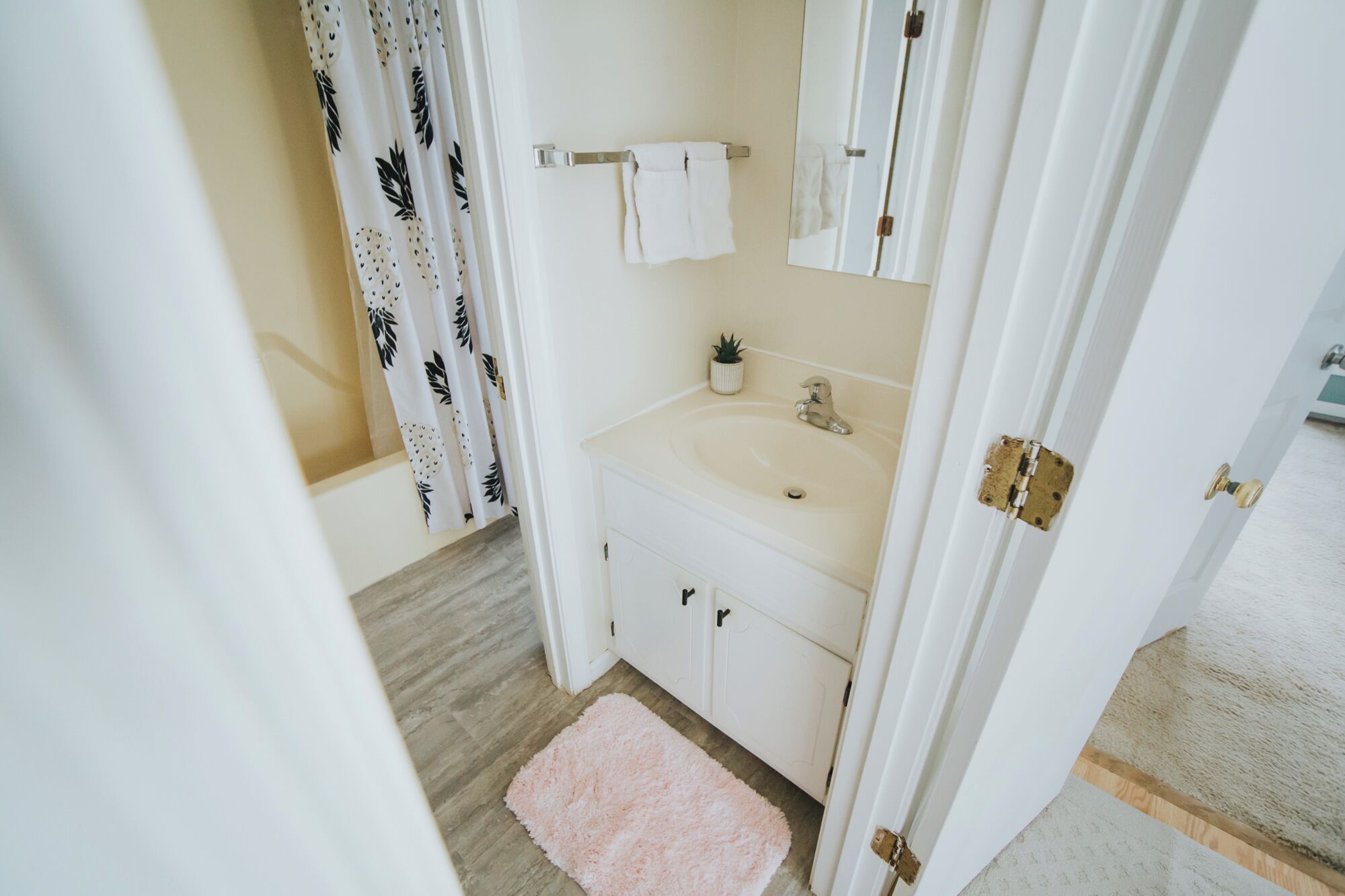 Une salle de bain avec un lavabo, un miroir, un porte-serviettes et une petite plante en pot.