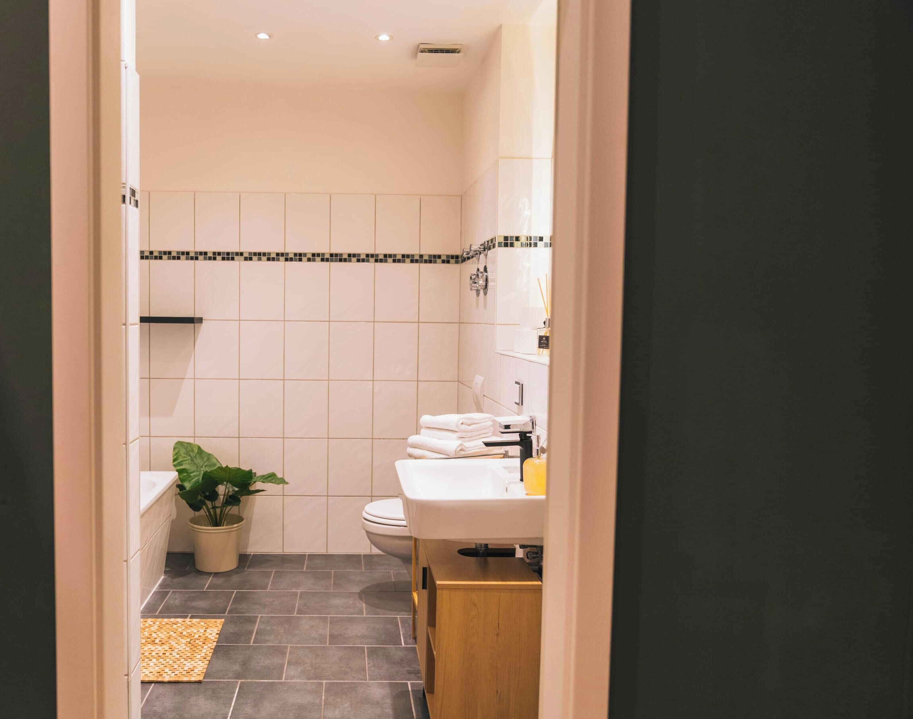 A bathroom with a toilet, sink, and a potted plant.