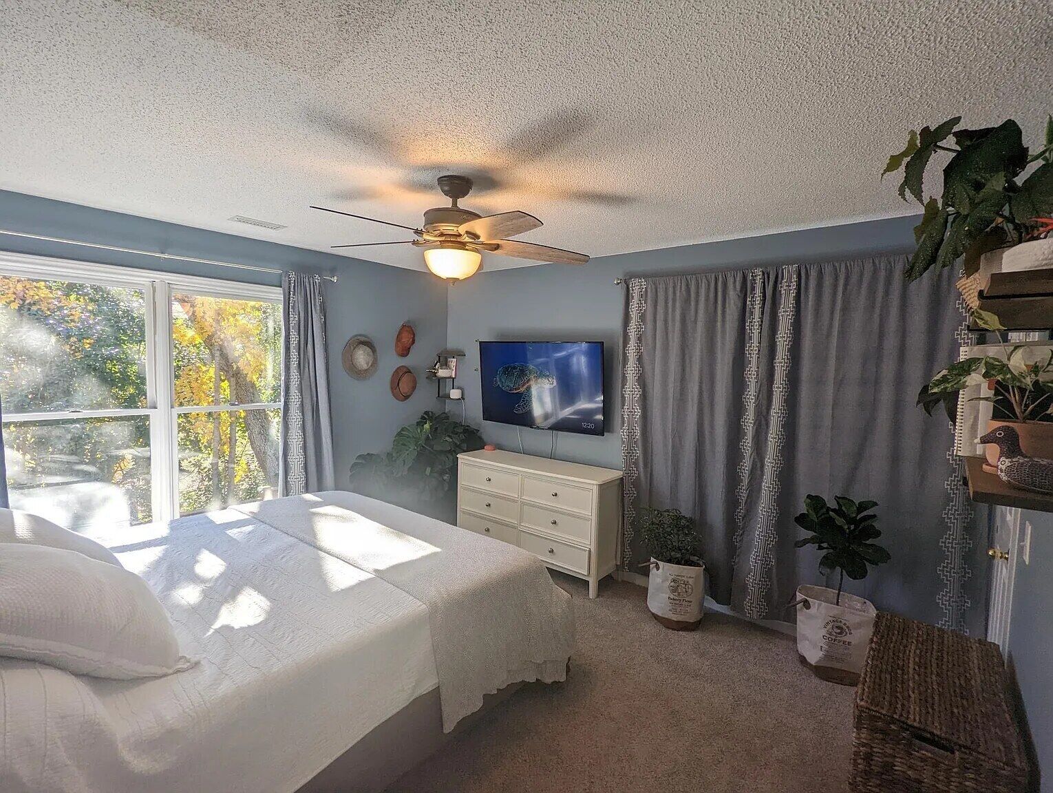 Bureau, Wi-Fi, literie fournie