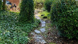 Un sendero de piedra que atraviesa un exuberante jardín con abundante follaje y árboles.