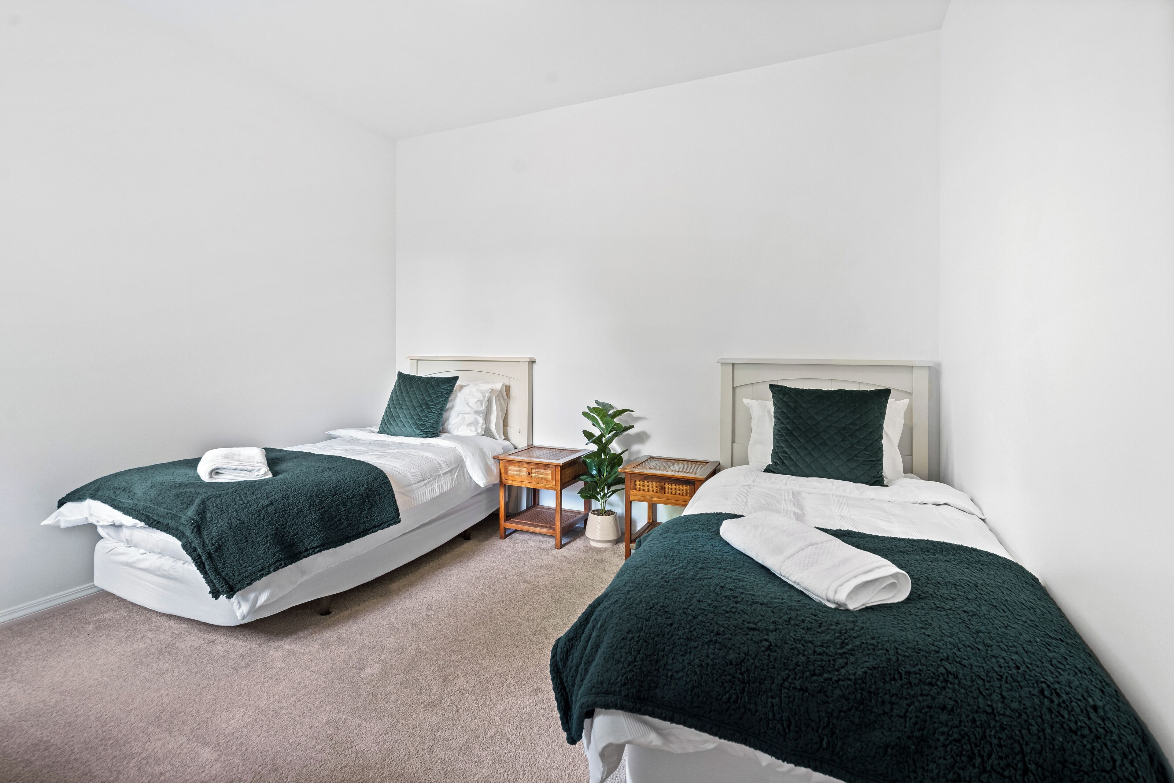 Habitación doble con dos camas, cada una con una manta verde y ropa de cama blanca. Entre las camas hay una mesita de noche de madera con una planta en maceta.