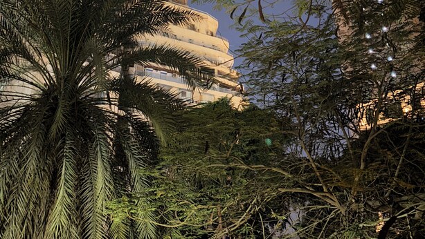 A multi-story building with a prominent cylindrical tower, surrounded by dense foliage and palm trees. - Cozy stay in prime central of Cairo, Green & Nile View. (Cairo Governorate)