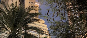 Cozy stay in prime central of Cairo, Green & Nile View.