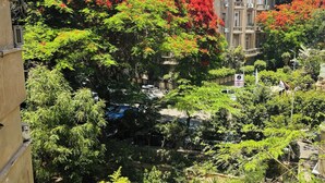 A residential area with a car parked on a dirt path, surrounded by lush greenery and red flowering trees. - Cozy stay in prime central of Cairo, Green & Nile View. (Cairo Governorate)
