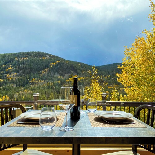 Spectacular Views Mountain Tiny Home Near Vail