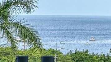 Panoramic Apartment, 1 Bedroom, Kitchen, Sea View | Terrace/patio