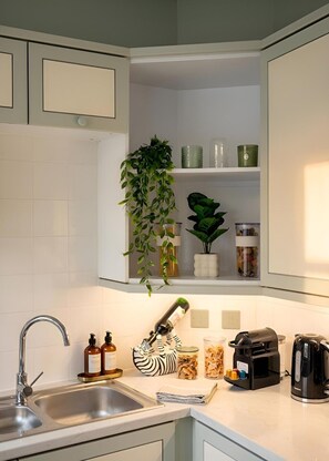 A kitchen with a stainless steel sink, a hanging plant, and a coffee maker.