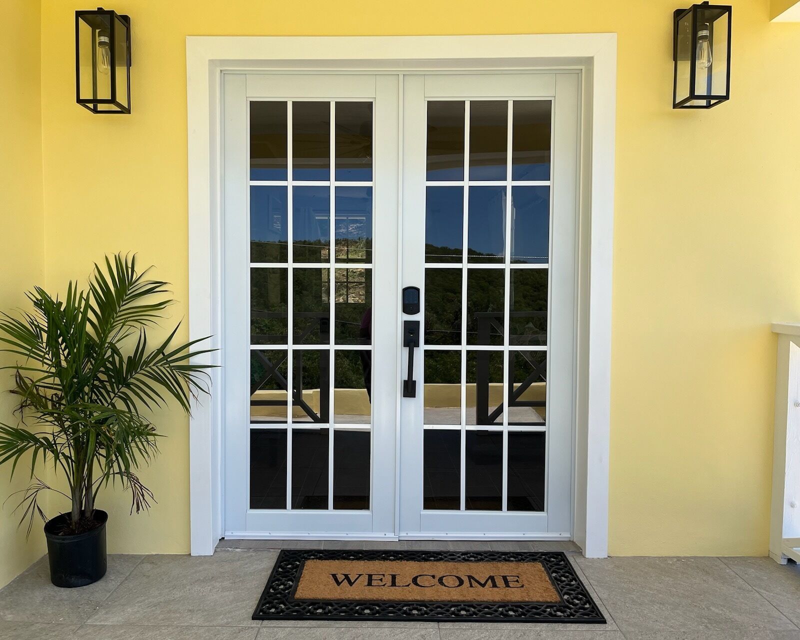A double door with a glass panel, a welcome mat, and a potted plant.