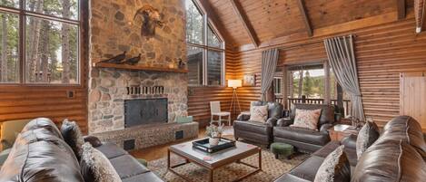 Televisión, chimenea y libros