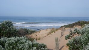 Un paysage côtier avec une plage de sable, de la végétation et une clôture en bois.