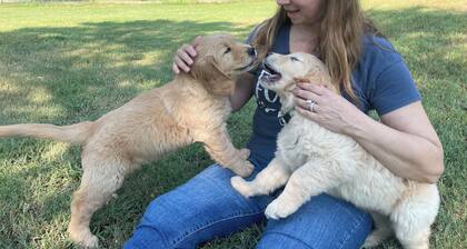 One acre family retreat near downtown Mckinney