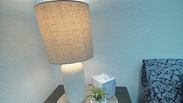 A bedside table with a lamp, a remote control, a small plant, and a tissue box.