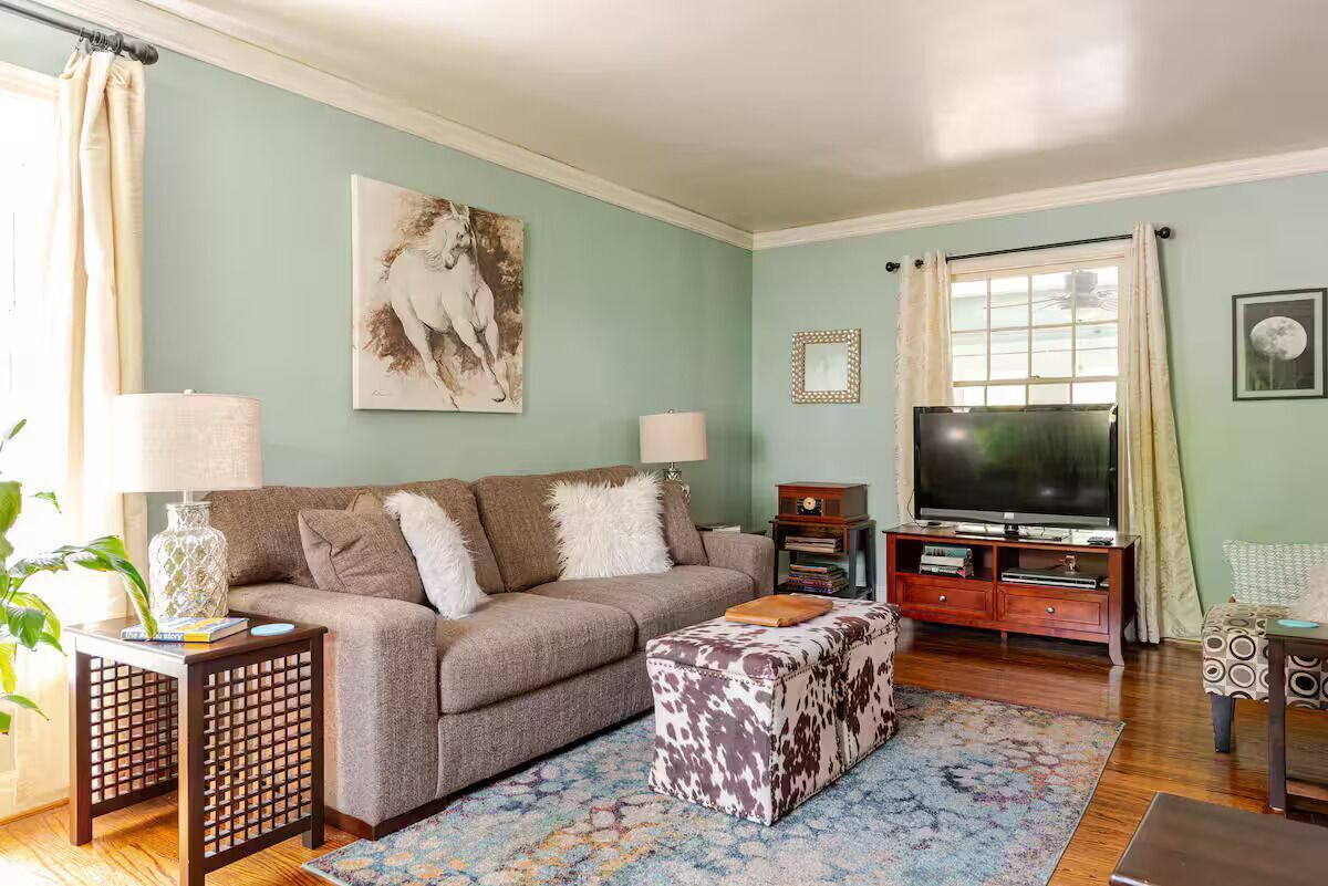 Smart TV, fireplace, DVD player, books