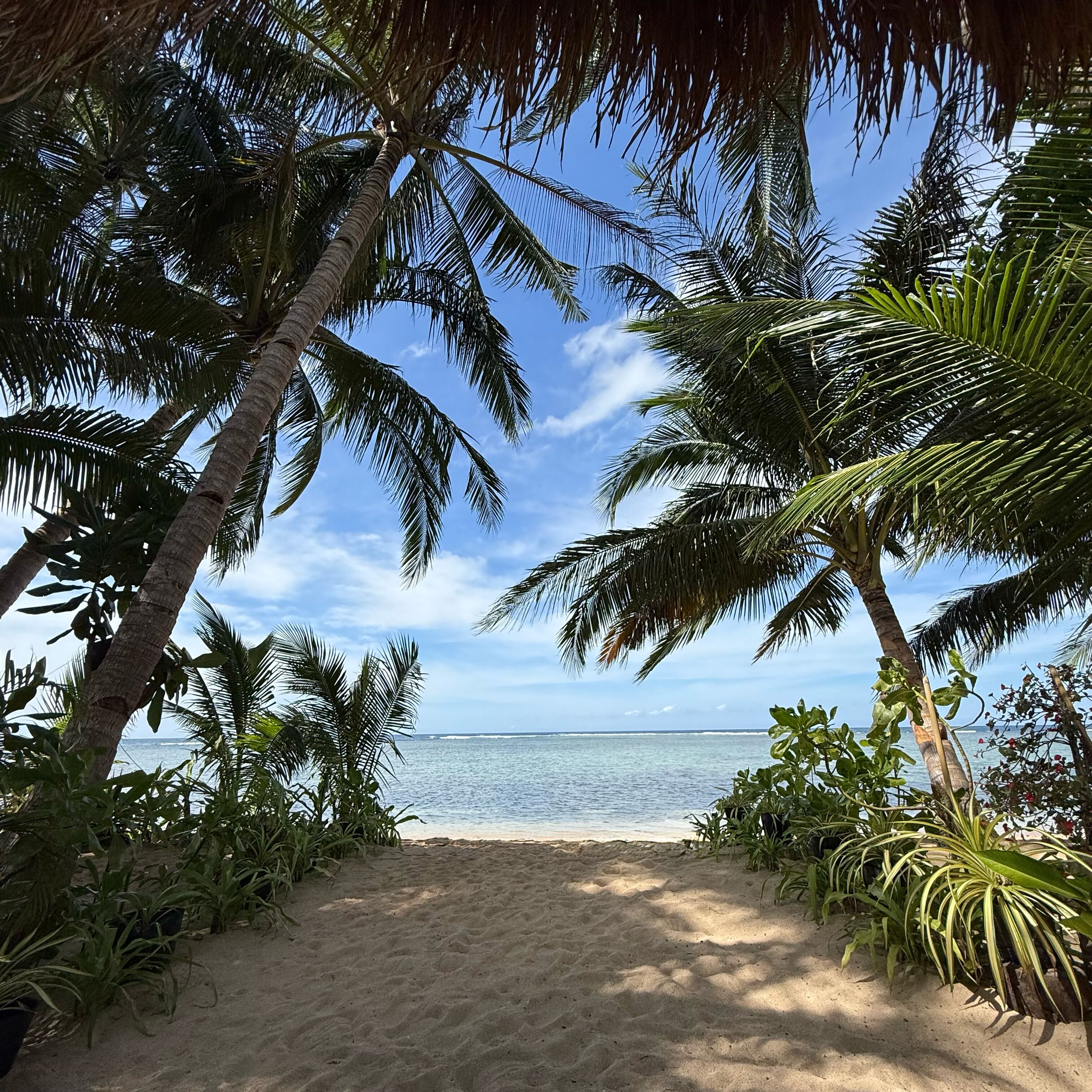 独特客房, 1 张特大床, 海景 | 沙滩/海景