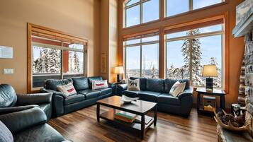 Télévision, cheminée, jeux vidéo, livres