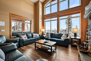 Télévision, cheminée, jeux vidéo, livres