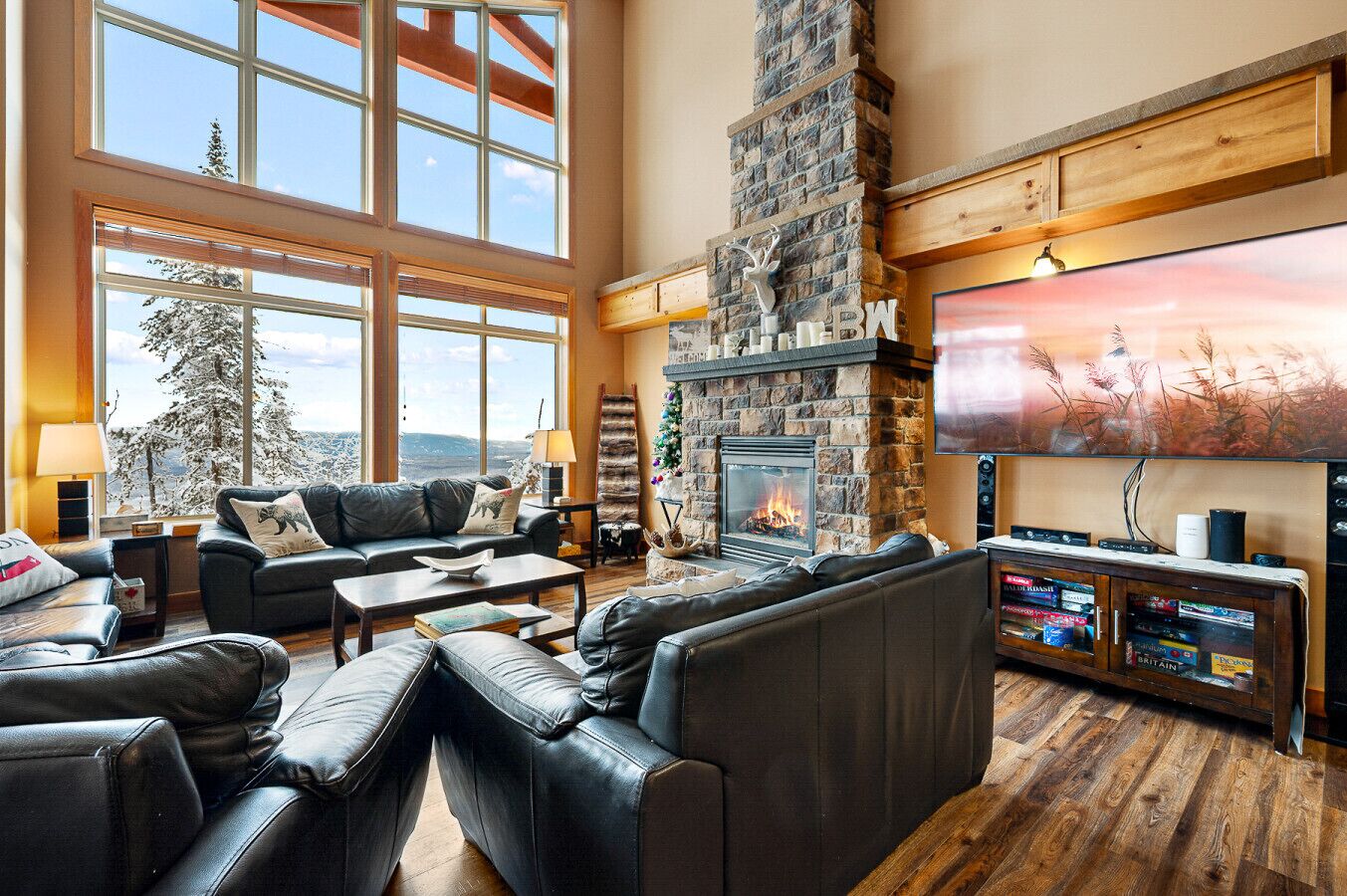 TV, fireplace, video games, books