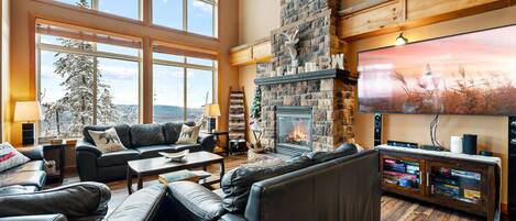 Télévision, cheminée, jeux vidéo, livres