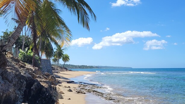 A beach with rocky terrain, palm trees, and a clear blue sky. - Relax in this peaceful, unique getaway paradise next to the beach in Aguada. (Aguada)
