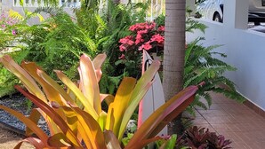 A garden with tropical plants and a palm tree, a white building with columns, and a parked car. - Relax in this peaceful, unique getaway paradise next to the beach in Aguada. (Aguada)