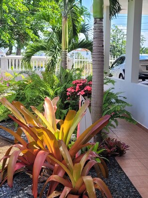 Exterior detail - Relax in this peaceful, unique getaway paradise next to the beach in Aguada. (Aguada)