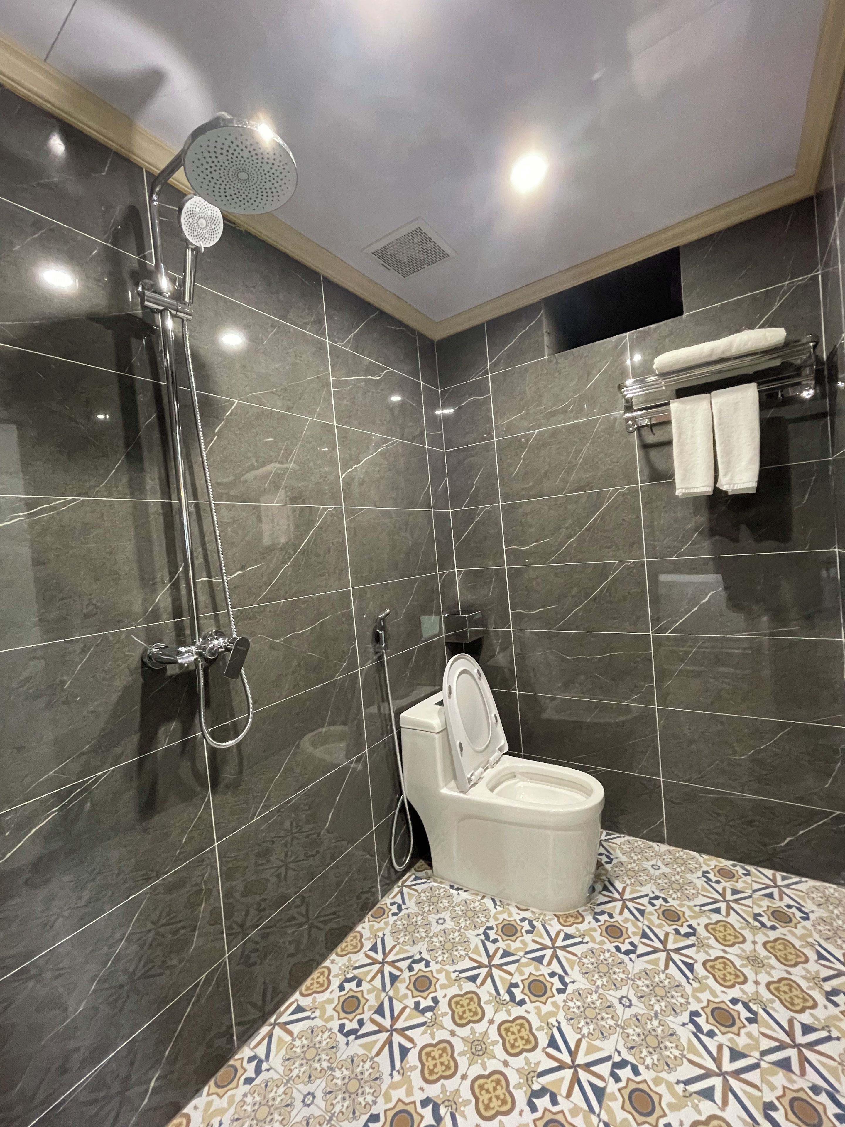 Une salle de bain moderne avec douche, toilettes et un carrelage décoratif.