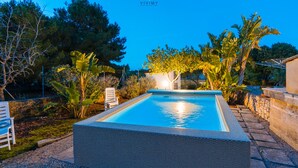 Una piscina rectangular con borde de piedra, rodeada de plantas tropicales y una silla blanca.