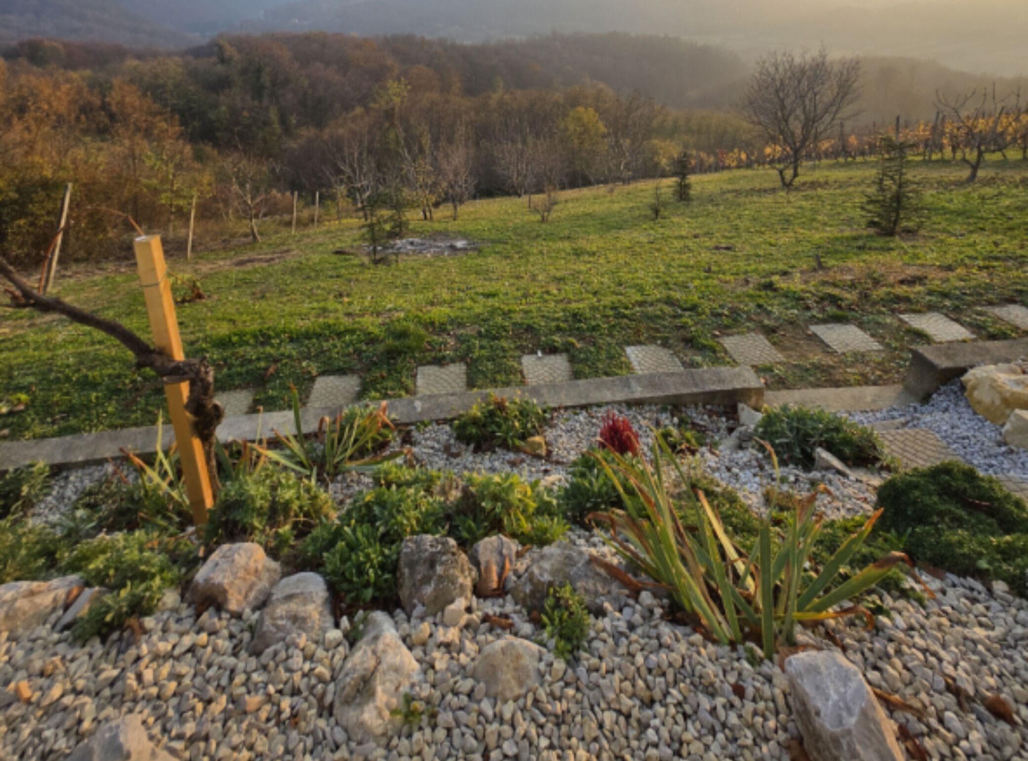 公寓 (One Bedroom apartment with Balcony an) | 外觀