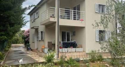 Family House Kurtin by Brankica