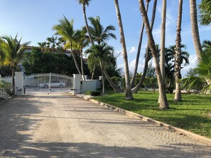 A gated driveway leading to a property with palm trees and a white fence. - THE SUITE:  Charming 3 bedroom In the Heart of Grace Bay!! (Grace Bay)