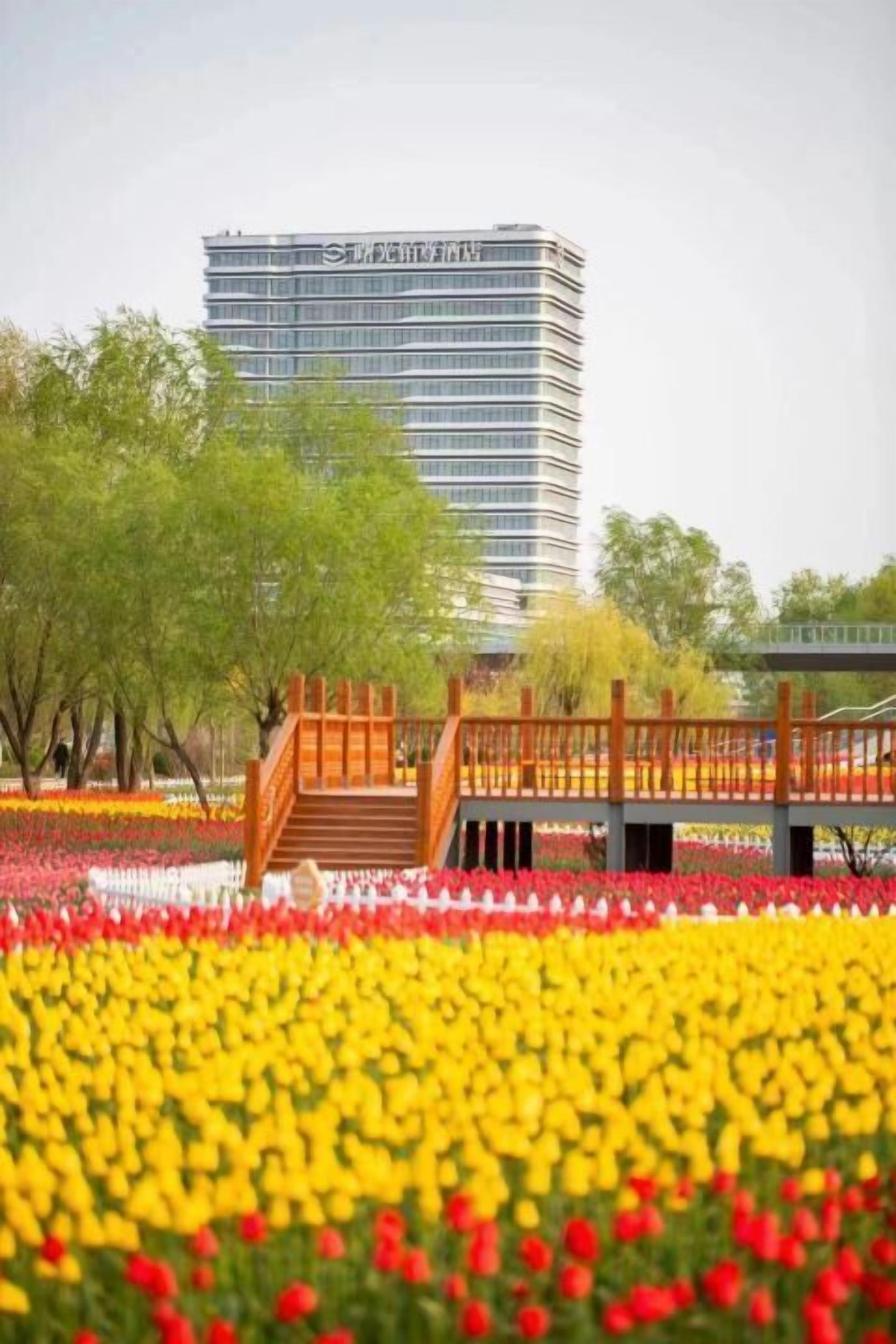 Un edificio de diseño moderno con un puente que conduce a un jardín de flores rojas, amarillas y blancas.