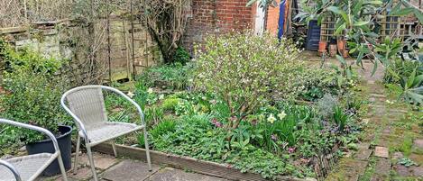 A garden with a brick wall, a metal chair, and a stone pathway.