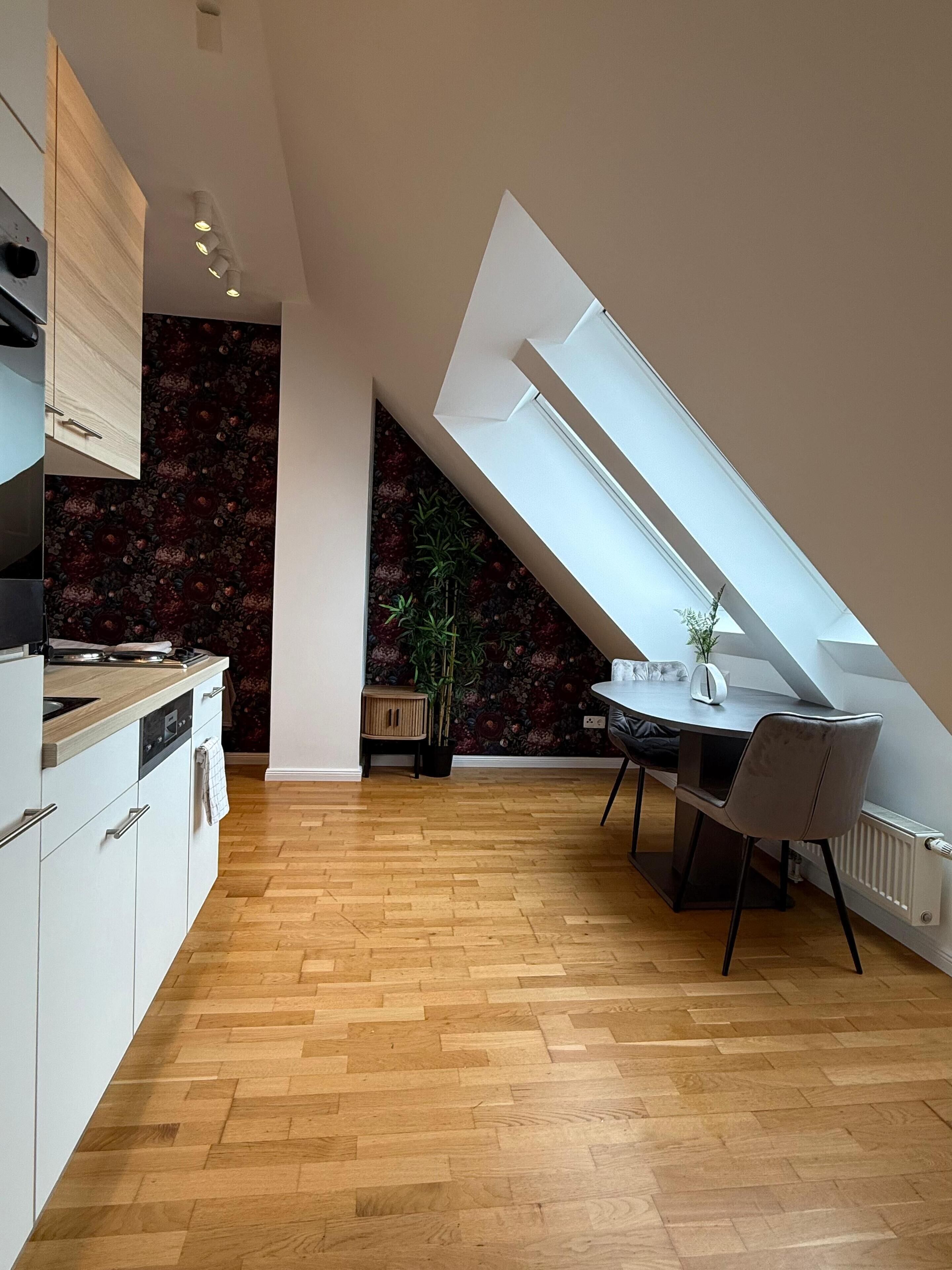 Basic Apartment | Private kitchen | Fridge, oven, stovetop, dishwasher