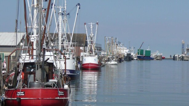 Un port de plaisance où sont amarrés plusieurs bateaux, dont un bateau rouge sur lequel on peut lire le mot « Farnborough ».