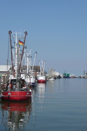 Land view from property - Apartment Bake9 - Tide (Cuxhaven)