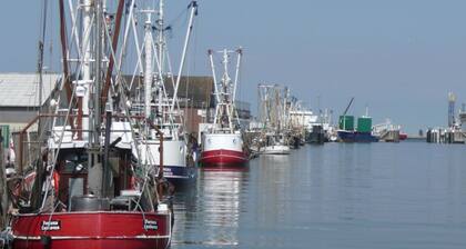 Apartment Bake9 - Tide