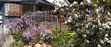 Overnattingsstedets uteområder