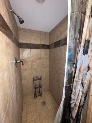 Shower, hair dryer, soap, shampoo