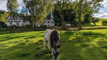 Enceinte de lâhĂ©bergement