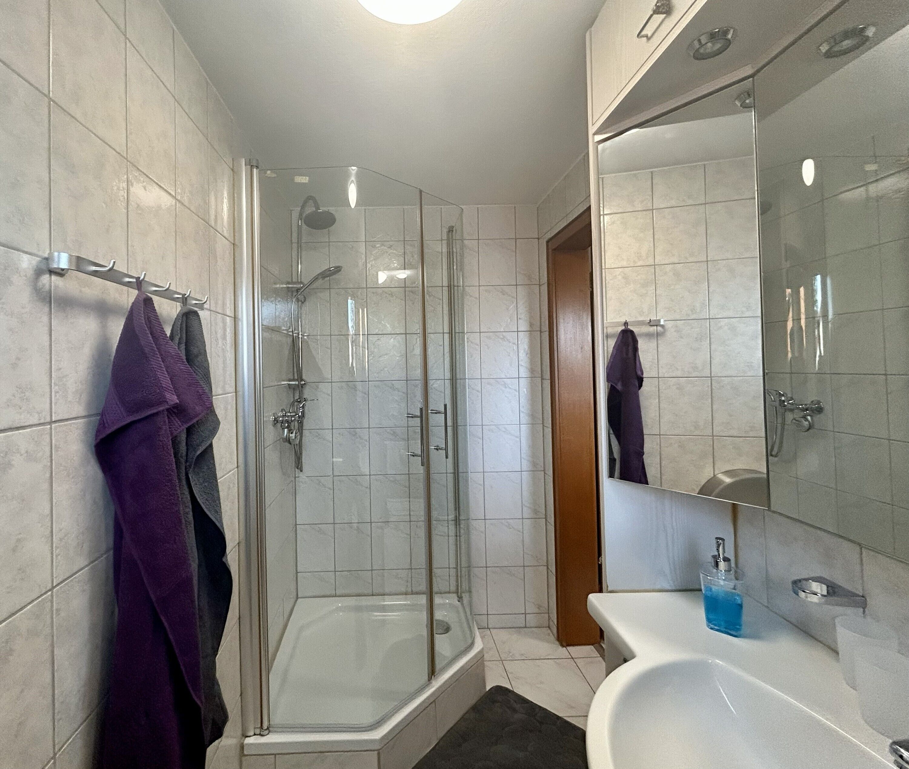 Dusche, Haartrockner, Handtücher