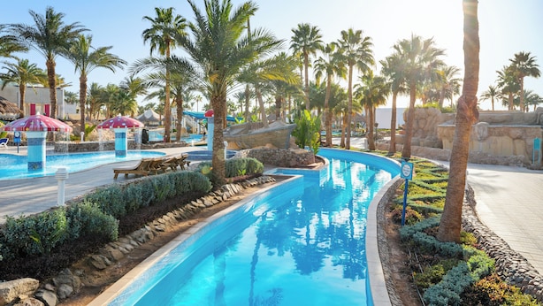 Una piscina amb palmeres, seients de relax i una paret de pedra.